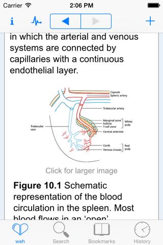 Essential Haematology, 6th Edition screenshot 2
