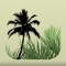 Palm ID Key is designed to help users identify cultivated palms