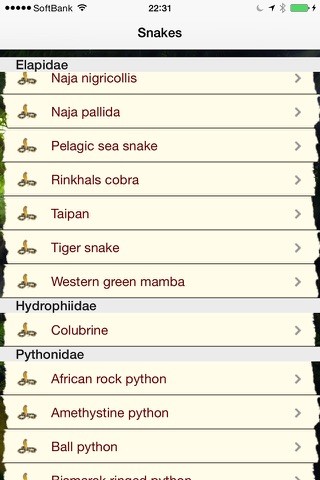 THE SNAKES screenshot 3