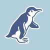 Oamaru Blue Penguin Colony, New Zealand