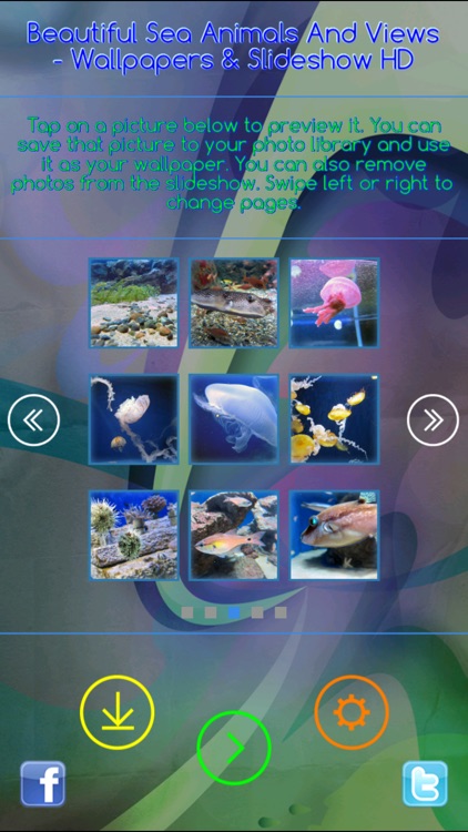 Beautiful Sea Animals and Views - Wallpapers & Slideshow HD