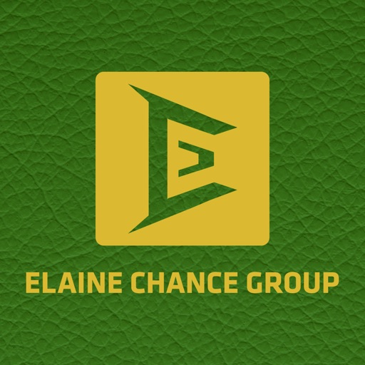 Elaine Chance Group by Clarence Soh