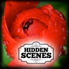 Hidden Scenes - Mothers Day