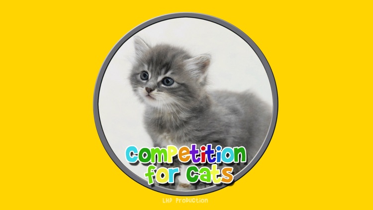 competition for cats - free game screenshot-0