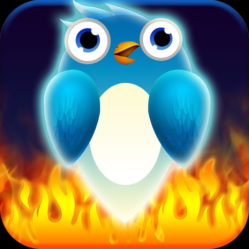 Bird Faces Flying iOS App
