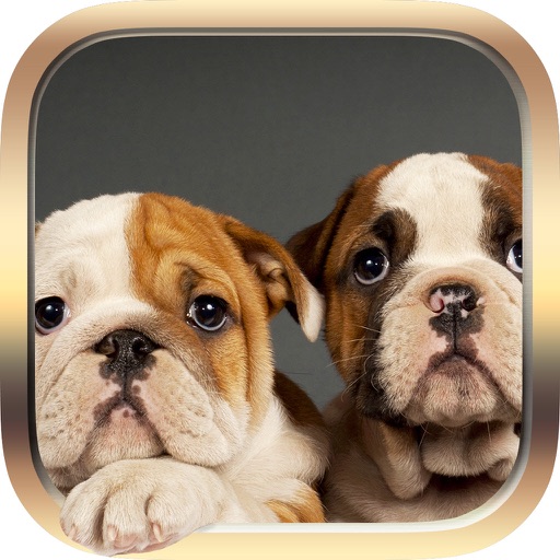 Pets Facts - Free Trivia for Animal Lovers iOS App