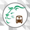 Mountain Line Transit Authority Bus Finder