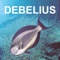 This app includes the species of fish that are included in Helmut Debelius' famous determination books Reef Guide Red Sea and Indian Ocean Reef Guide