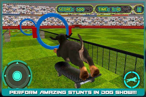 Dog Show Simulator 3D: Train puppies & perform amazing stunts screenshot 4
