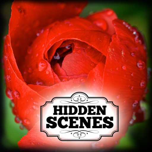 Hidden Scenes - Mothers Day iOS App