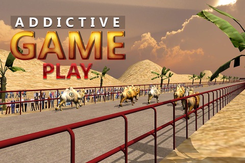 Camel Racing Simulator 3D - Real derby sport simulation game screenshot 3