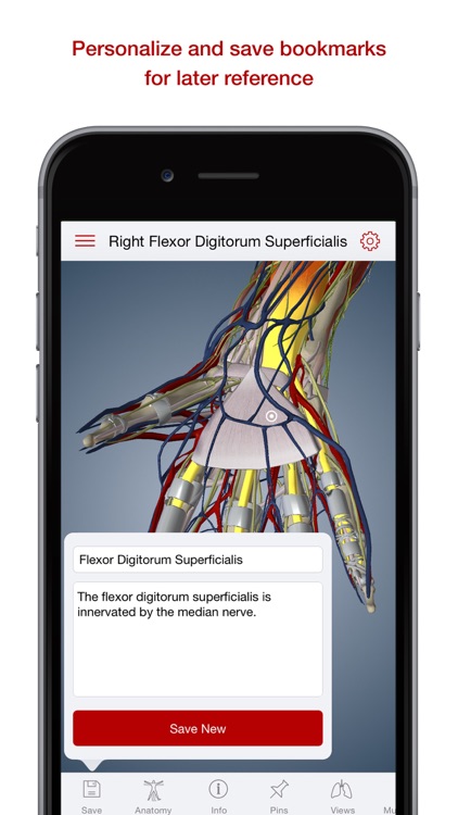 BioDigital Human: 3D Anatomy Explorer