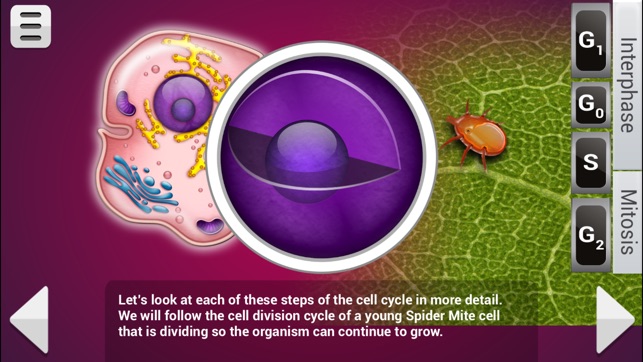 FCS Biology Mitosis & Meiosis (Lite)(圖3)-速報App