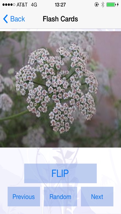 Herb n Spice ID screenshot-3