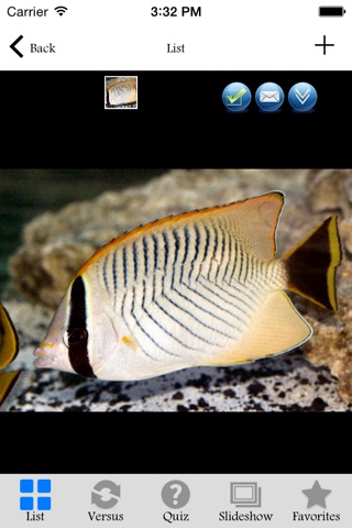 Fish Encyclopedia HD screenshot 3