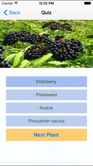 Edible and Poisonous Plants(圖3)-速報App