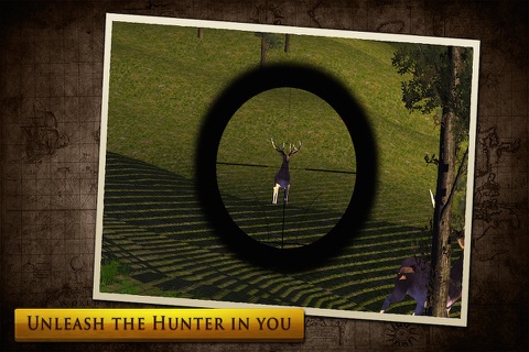 Virtual Hunting : Stag screenshot 4
