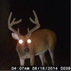 USA Trail Cams