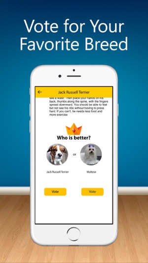 Dog Breeds Guide - popular names, puppies photo, training vi(圖5)-速報App