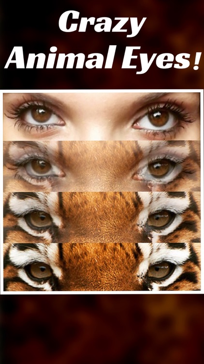 Animal Eyes Maker : Blend & Morph Into Funny Face With Tiger Eyes & Cats Eye