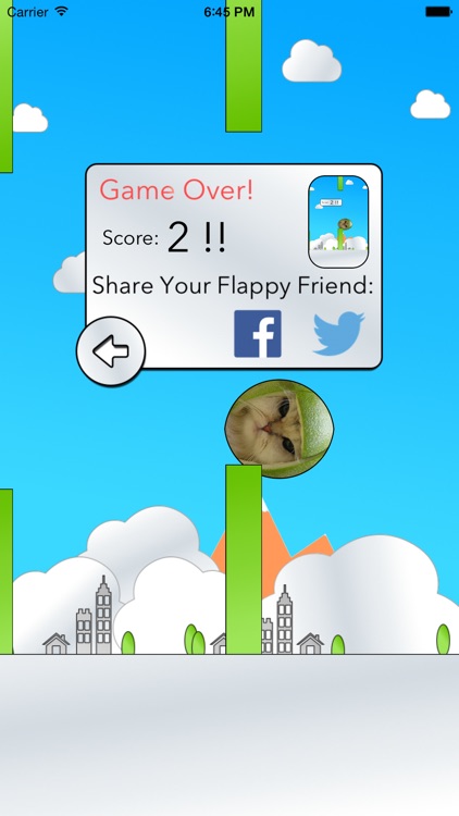 Flap Your Friends! screenshot-4