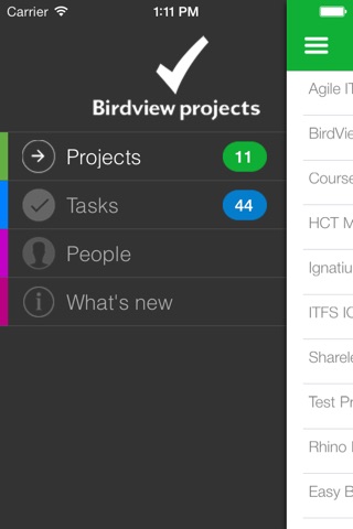 Birdview: Project Management screenshot 2