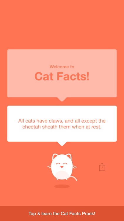 Cat Facts!