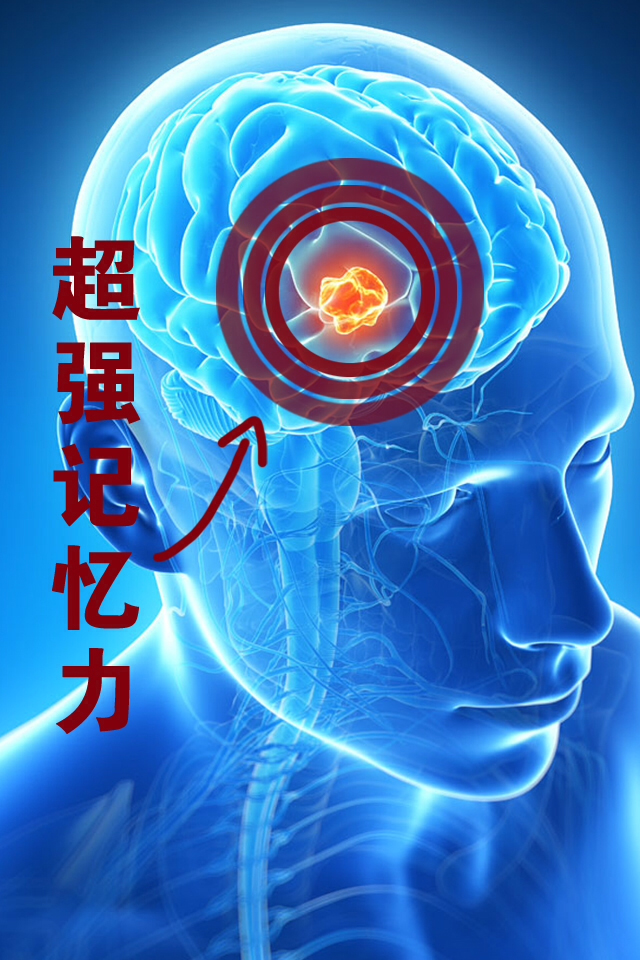 超强记忆力－挖掘记忆潜力