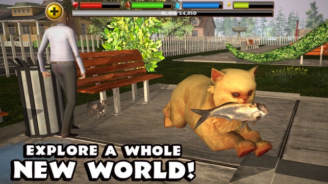 Stray Cat Simulator(圖5)-速報App