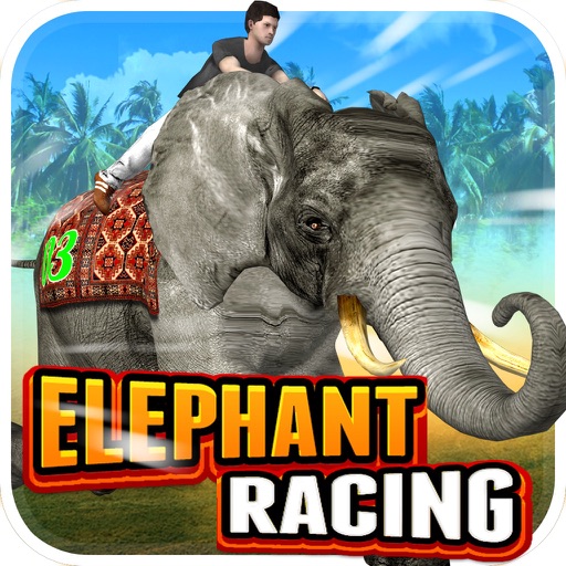 Elephant Racing Simulator icon