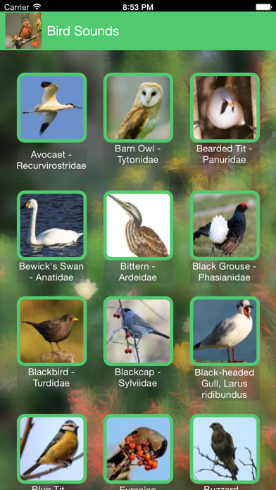 How to cancel & delete Birds of Britain Sounds from iphone & ipad 1