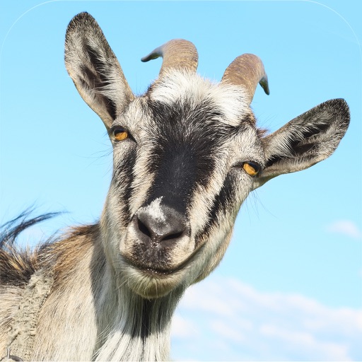 3D Goat Rescue Runner Simulator Game for Boys and Kids FREE Icon