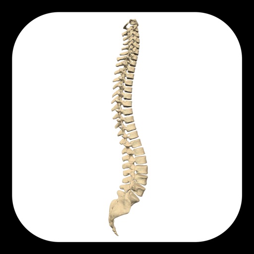 iSpineCare
