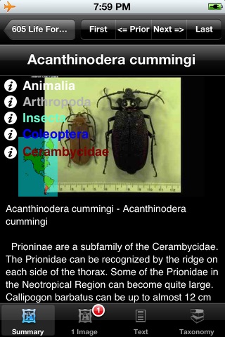 Beetles of the World - Coleoptera - A Beetle App screenshot 3