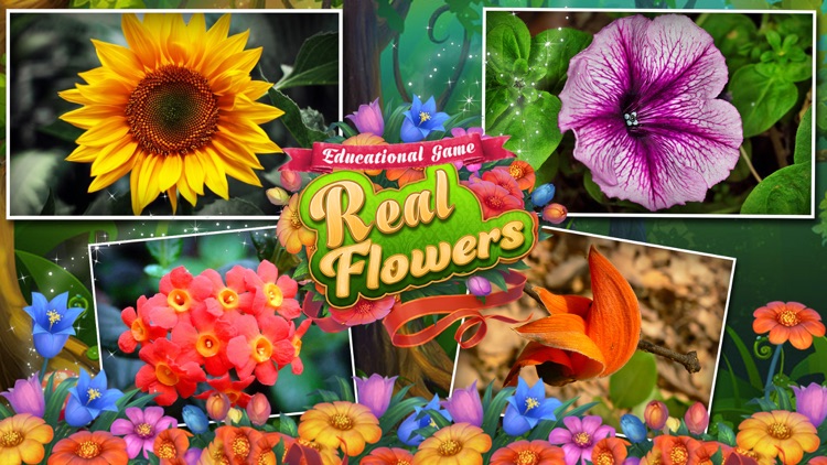 Educational Game Real Flowers