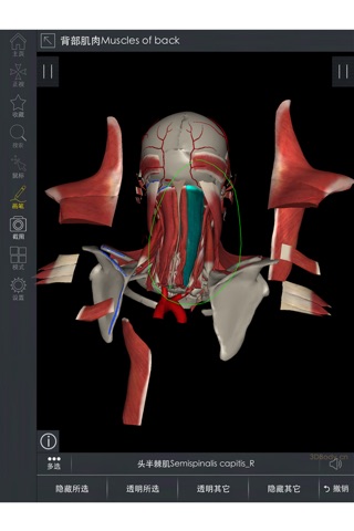 头颈Pro-高精三维解剖图像 screenshot 2