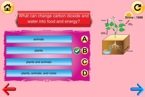 4th Grade Science Quiz # 2 for home school and classroom screenshot 4