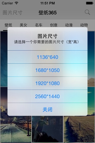 壁纸365-可以搜索的壁纸工具 screenshot 2