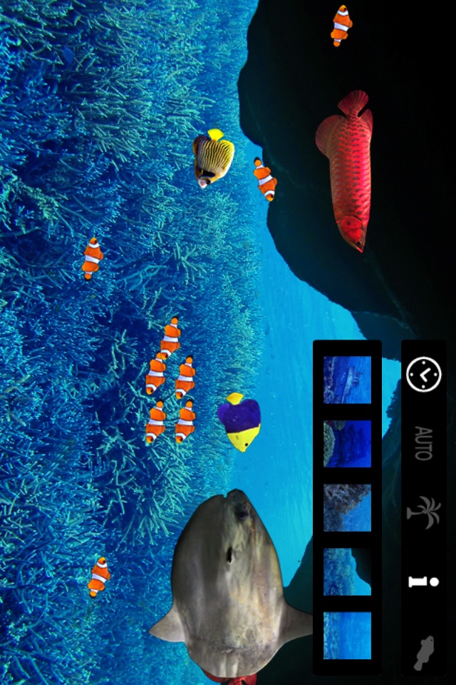 Tap Aquarium screenshot 2