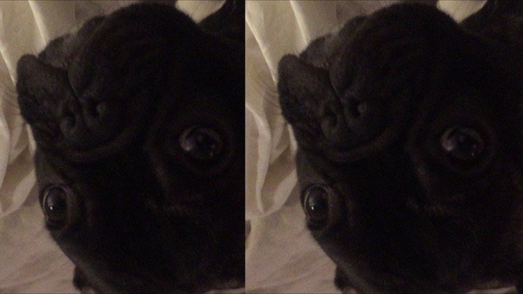 Upside Down: A Virtual Reality Experience