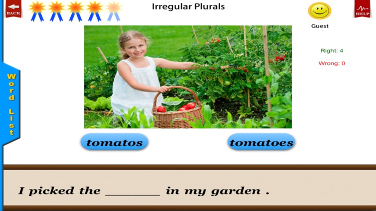 Irregular Plurals - English Language Art Grammar App