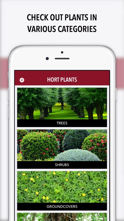 Hort Plants