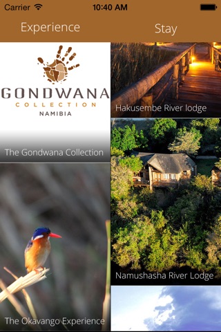 Gondwana Collection screenshot 2