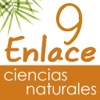 Vector Z | Enlace Ciencias Naturales 9 Vector Z | Enlace Ciencias Naturales 9