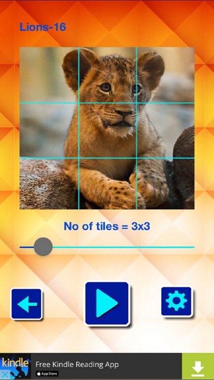 Lions and Big Cats - Puzzle Slide screenshot-3