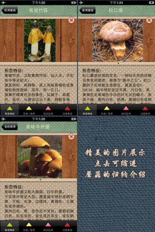 常见蘑菇鉴别 screenshot 4