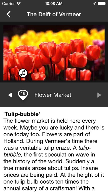 HollandHighlights screenshot-3