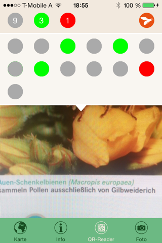 Unsere Wildbienen screenshot 4