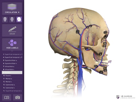 Interactive Anatomy - SE screenshot 2