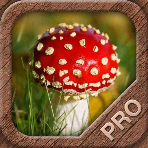 Mushrooms PRO - NATURE MOBILE - For Safe Enjoyment!